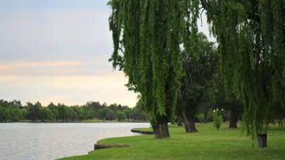 1175657_10201733692449771_1038085720_n